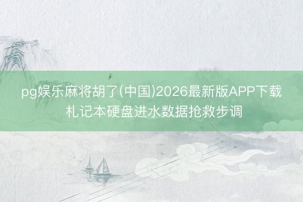 pg娱乐麻将胡了(中国)2026最新版APP下载 札记本硬盘进水数据抢救步调