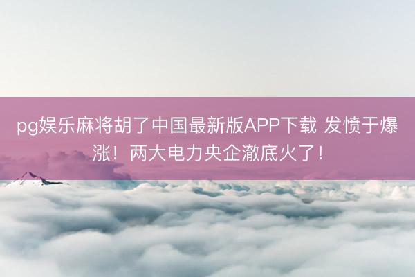 pg娱乐麻将胡了中国最新版APP下载 发愤于爆涨!两大电力央企澈底火了!