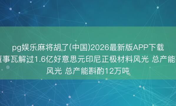 pg娱乐麻将胡了(中国)2026最新版APP下载 龙蟠科技董事瓦解过1.6亿好意思元印尼正极材料风光 总产能斟酌12万吨