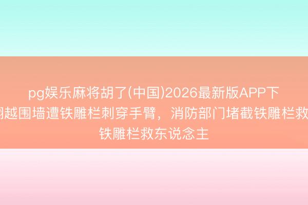 pg娱乐麻将胡了(中国)2026最新版APP下载 女生翻越围墙遭铁雕栏刺穿手臂，消防部门堵截铁雕栏救东说念主