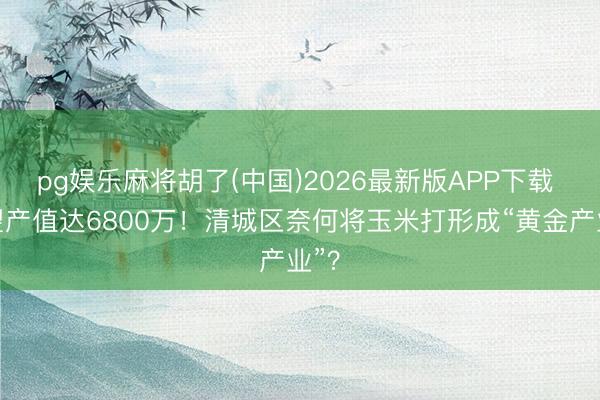 pg娱乐麻将胡了(中国)2026最新版APP下载 瞻望产值达6800万！清城区奈何将玉米打形成“黄金产业”？